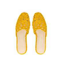 Load image into Gallery viewer, IRIS